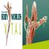 View Body Worlds: The Anatomy Of Happiness
