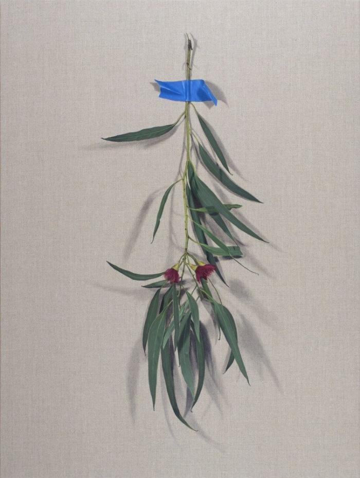 Geelong Contemporary Art Prize 2026