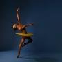 View The Australian Ballet: Mixed Bill View The Australian Ballet: Mixed Bill