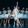View The Australian Ballet: Swan Lake View The Australian Ballet: Swan Lake