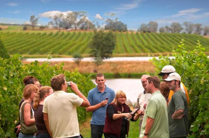 Yarra Valley Winery Tour from Melbourne