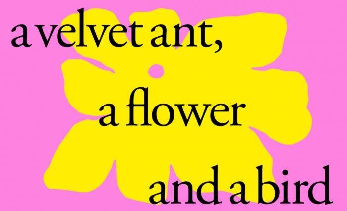 Group Exhibition: A velvet ant, a flower, and a bird