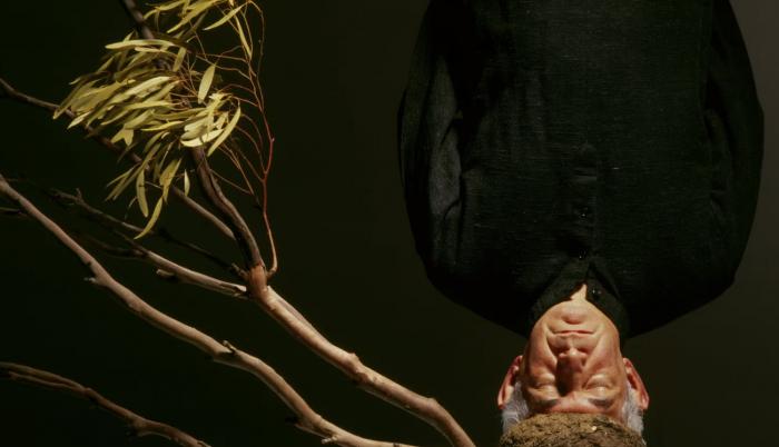 Ngarn Wa'ngal: Art of the gum tree