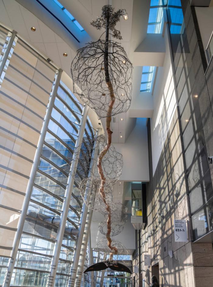 Shona Rapira Davies: Ko te Kihikihi Taku Ingoa