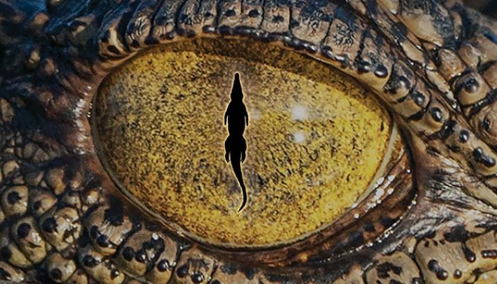 Croc! Lost Giants to Living Legends