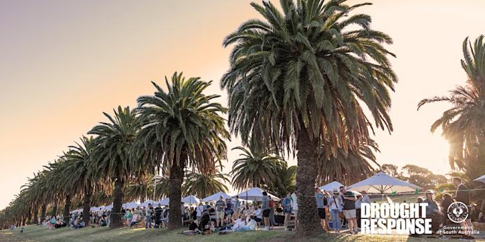 Sunset on Seppeltsfield Road