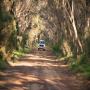 Kangaroo Island Landscape and Wildlife Tour