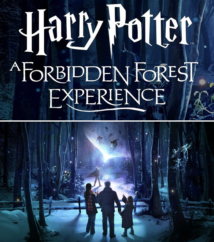 Harry Potter: A Forbidden Forest Experience