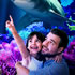 View Event: Night on the Reef - SEA LIFE Melbourne Aquarium