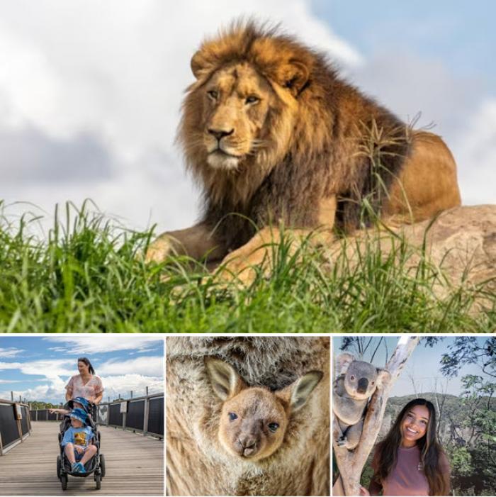 Bungarribee Wildlife Experience in Sydney Zoo Bungarribee Wildlife Experience in Sydney Zoo