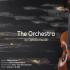 The Orchestra